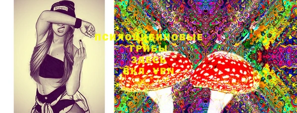 MDMA Беломорск